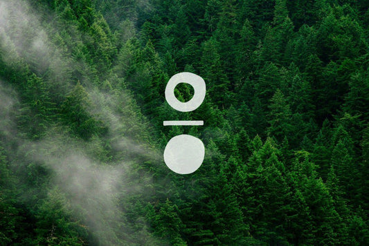 neon coyotes logo over large green forest