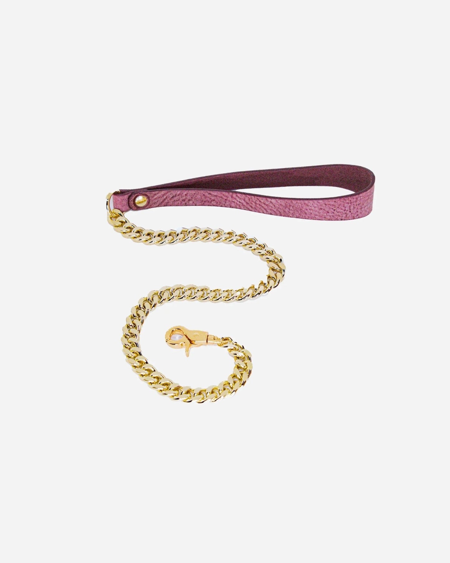 Leather + Chain BDSM Leash