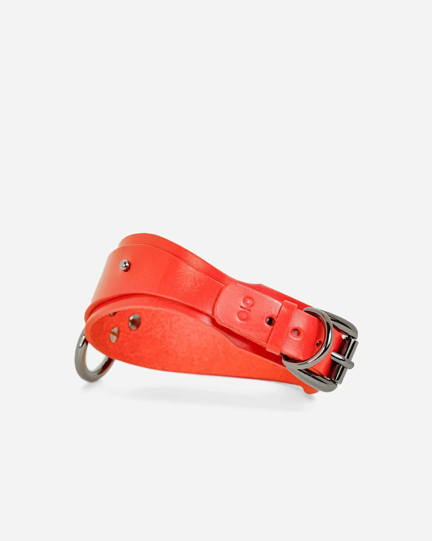 custom red collar with dark black buckles