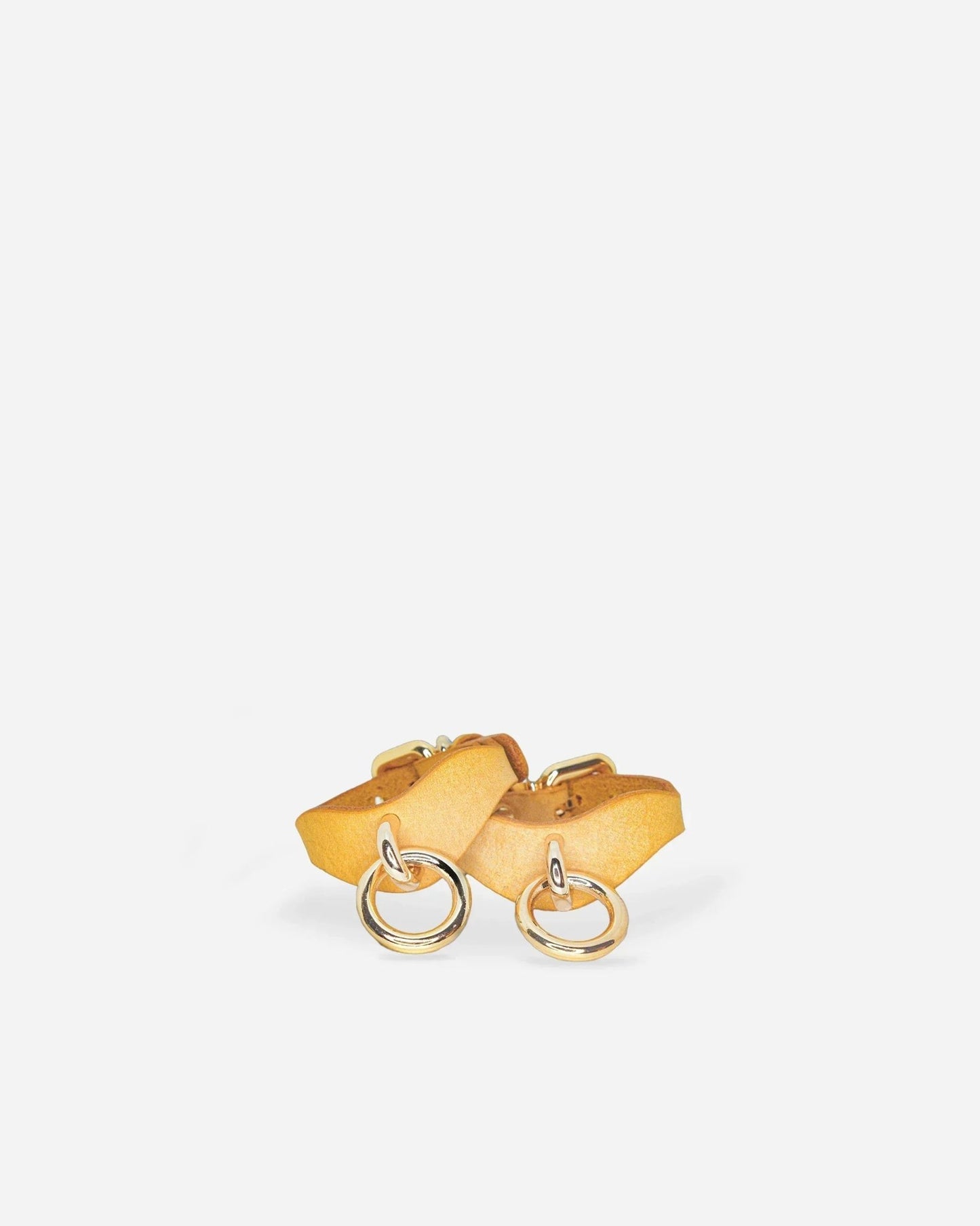Orbit Day Collar + Cuffs + Leash Set in Golden Hour