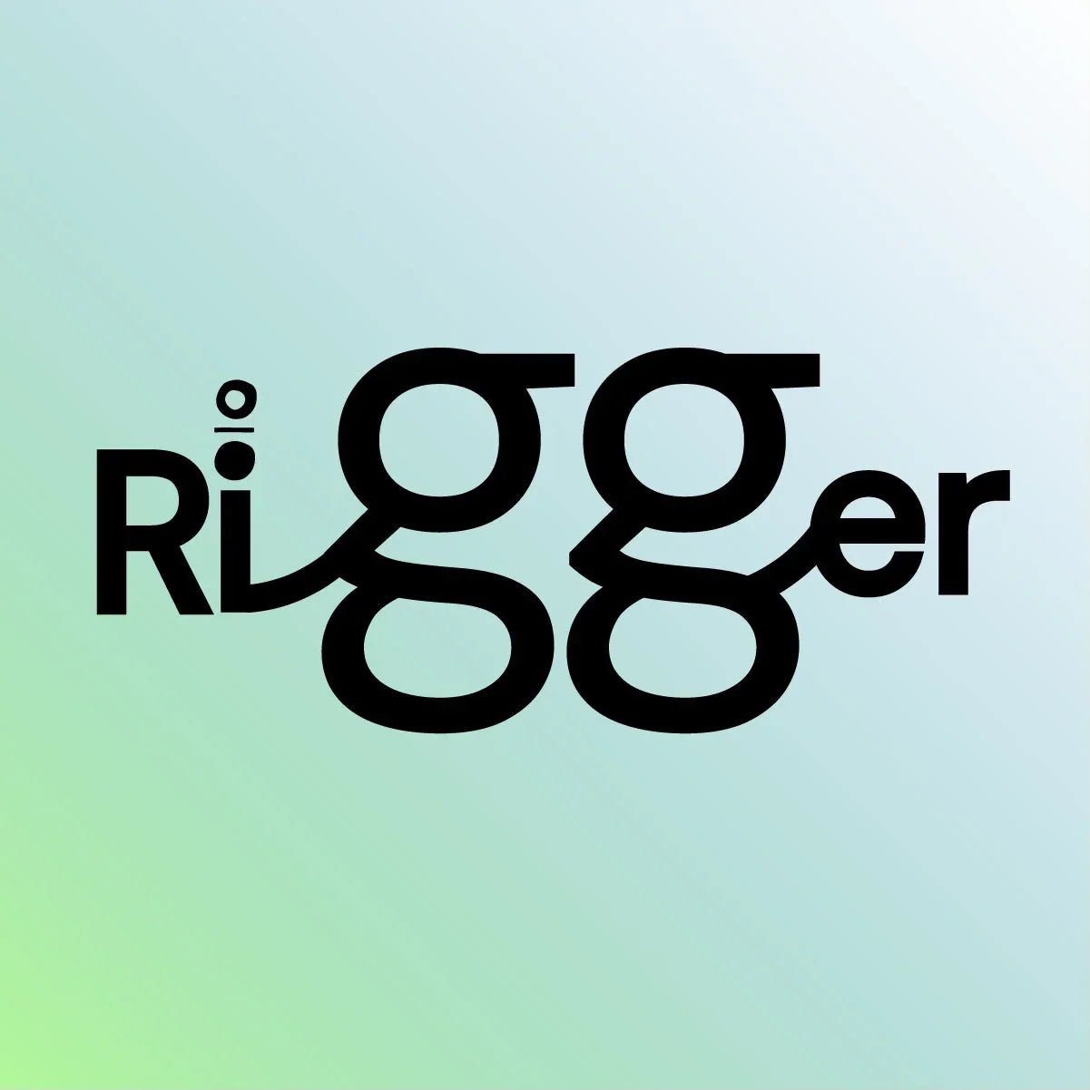 what is a rigger