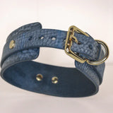 Product display of a denim leather BDSM collar laid flat, highlighting the gold-tone buckle and textured leather craftsmanship.