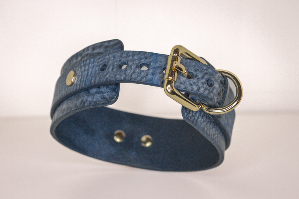 Product display of a denim leather BDSM collar laid flat, highlighting the gold-tone buckle and textured leather craftsmanship.