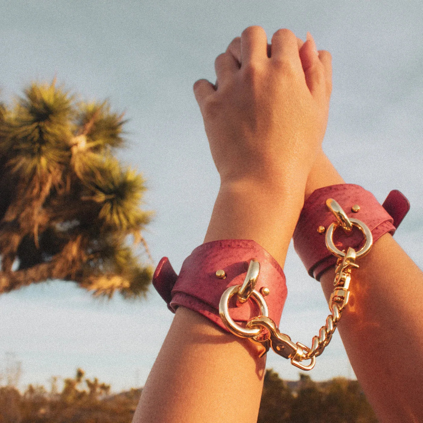 Hands wearing red leather wrist cuffs with gold chain outdoors near a tree sky background