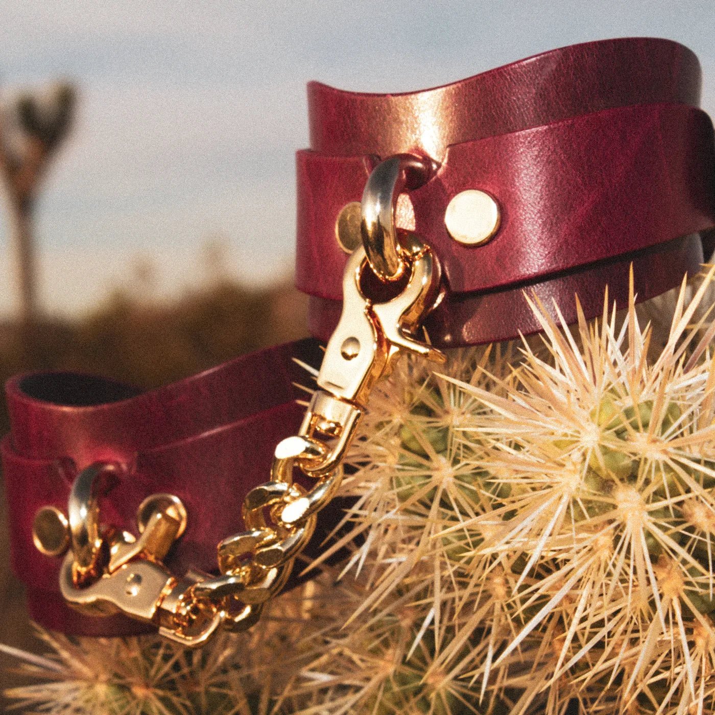 Deep red leather wrist cuffs with gold chain clasp displayed on cactus outdoors, leather collars style
