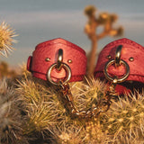 Elegantly crafted Desert Rose Italian leather BDSM cuffs resting on a desert cactus, showcasing the golden O-rings.