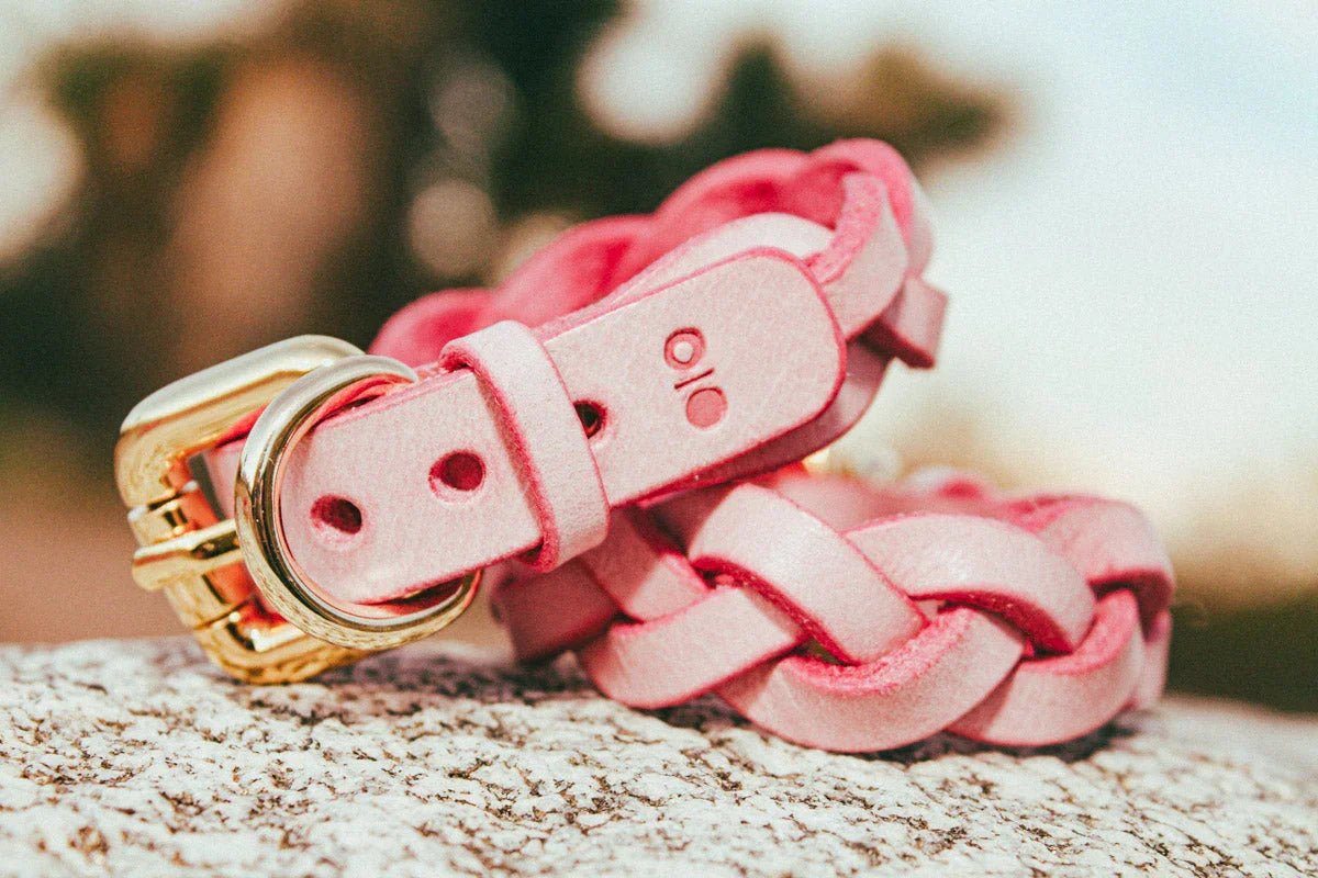 Pink braided leather day collar with gold buckle and D-ring resting on stone surface, leather wrist cuffs style