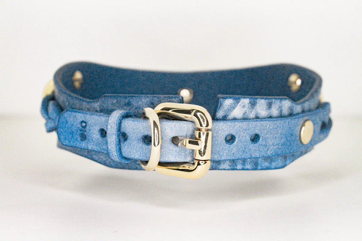 product back view blue bdsm cowboy core collar with gold hardware