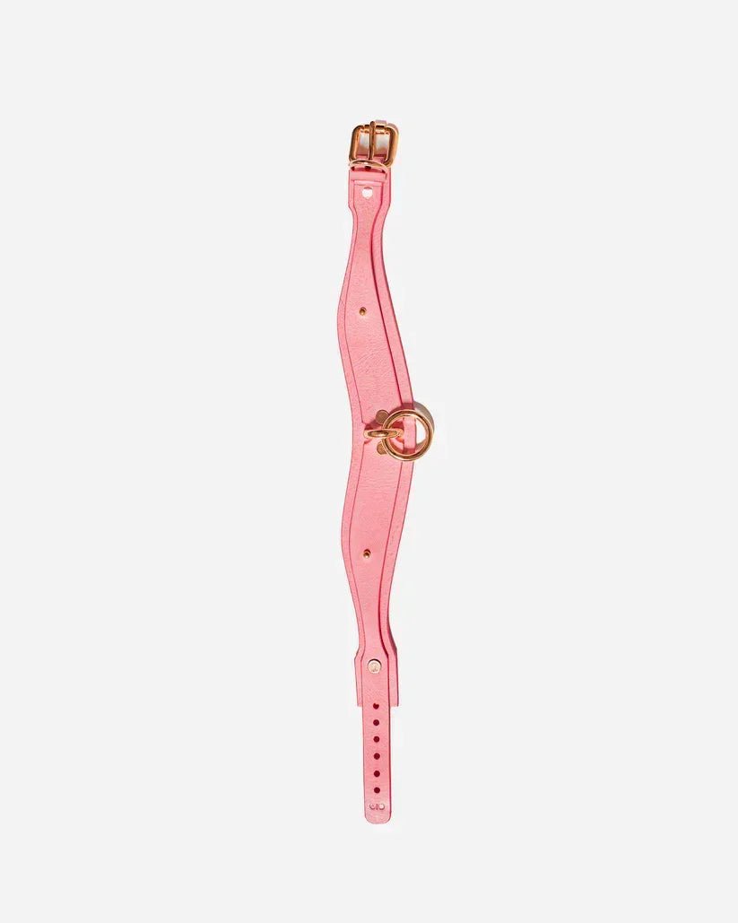 Pink full-grain leather day collar with gold buckle and central O-ring, leather collars