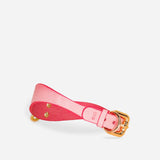 Pink leather day collar with gold buckle and rivets on white background
