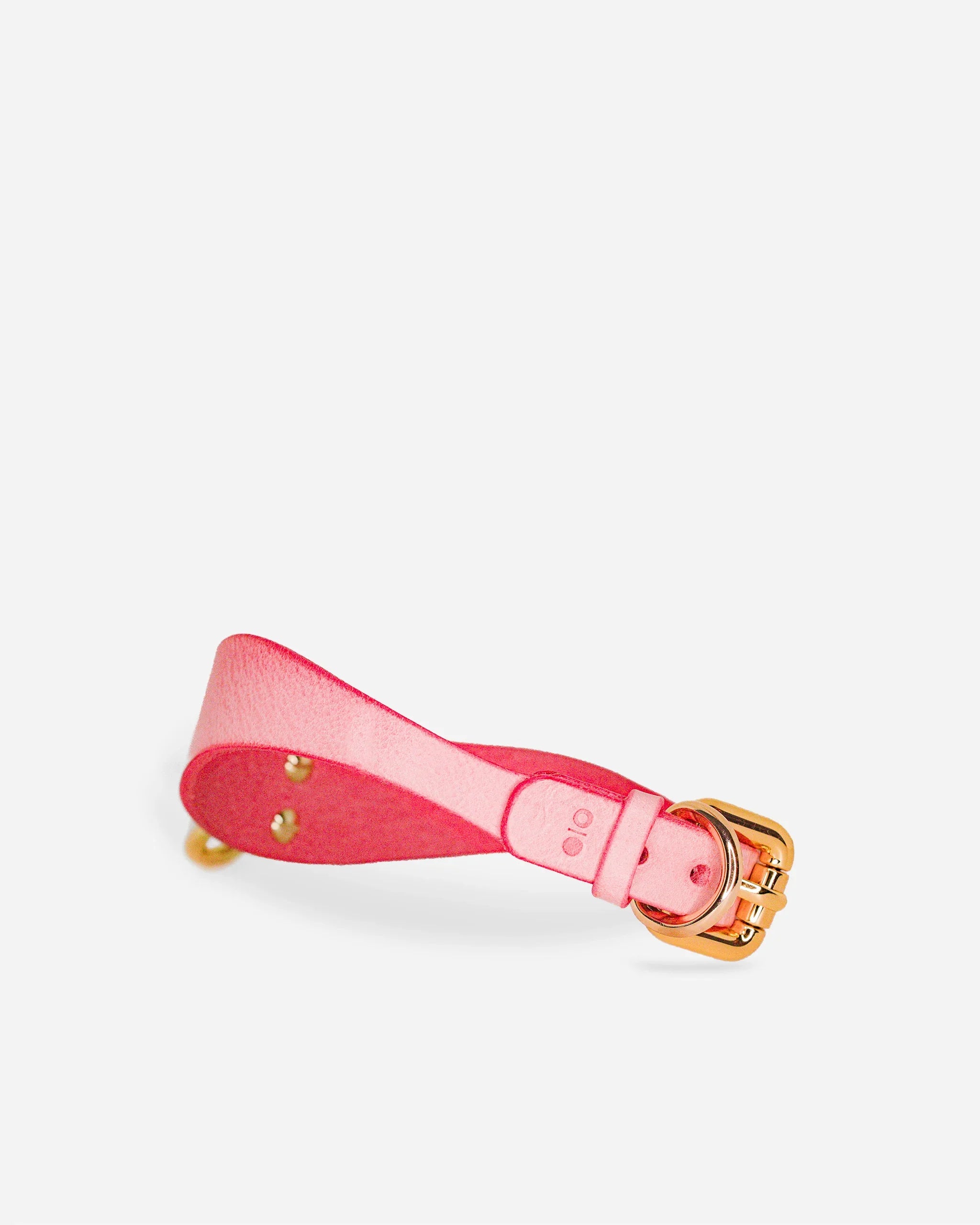 Pink leather day collar with gold buckle and rivets on white background