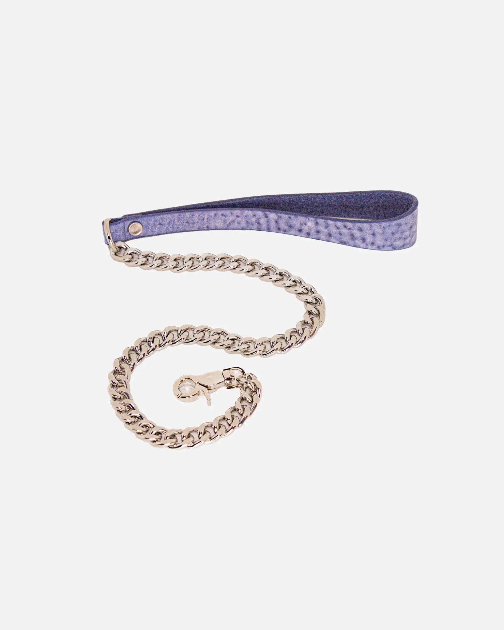 Purple leather day collar leash with silver chain and metal clasp on white background