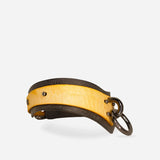 Yellow and black leather day collar with metal rings and rivets on white background