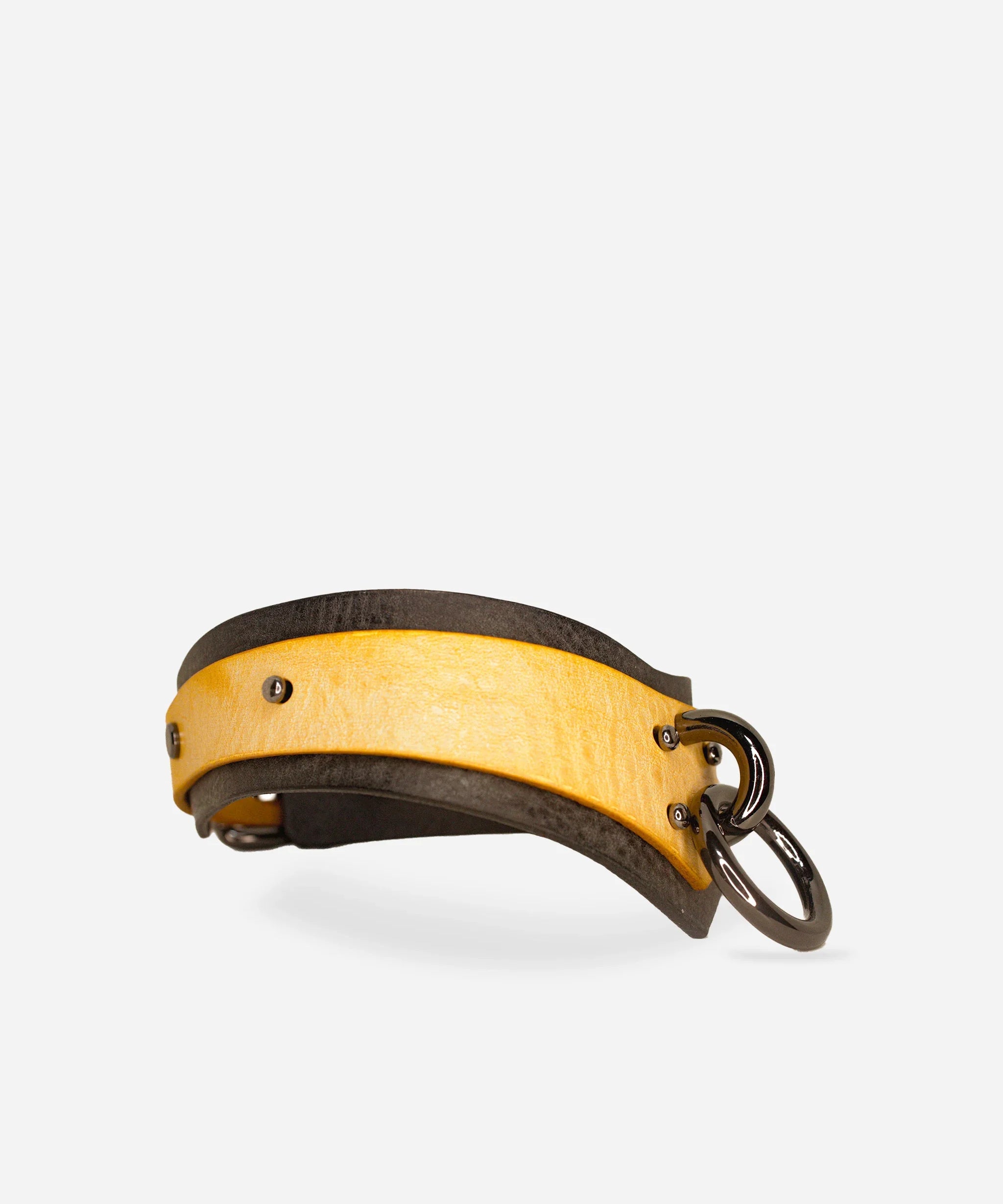 Yellow and black leather day collar with metal rings and rivets on white background