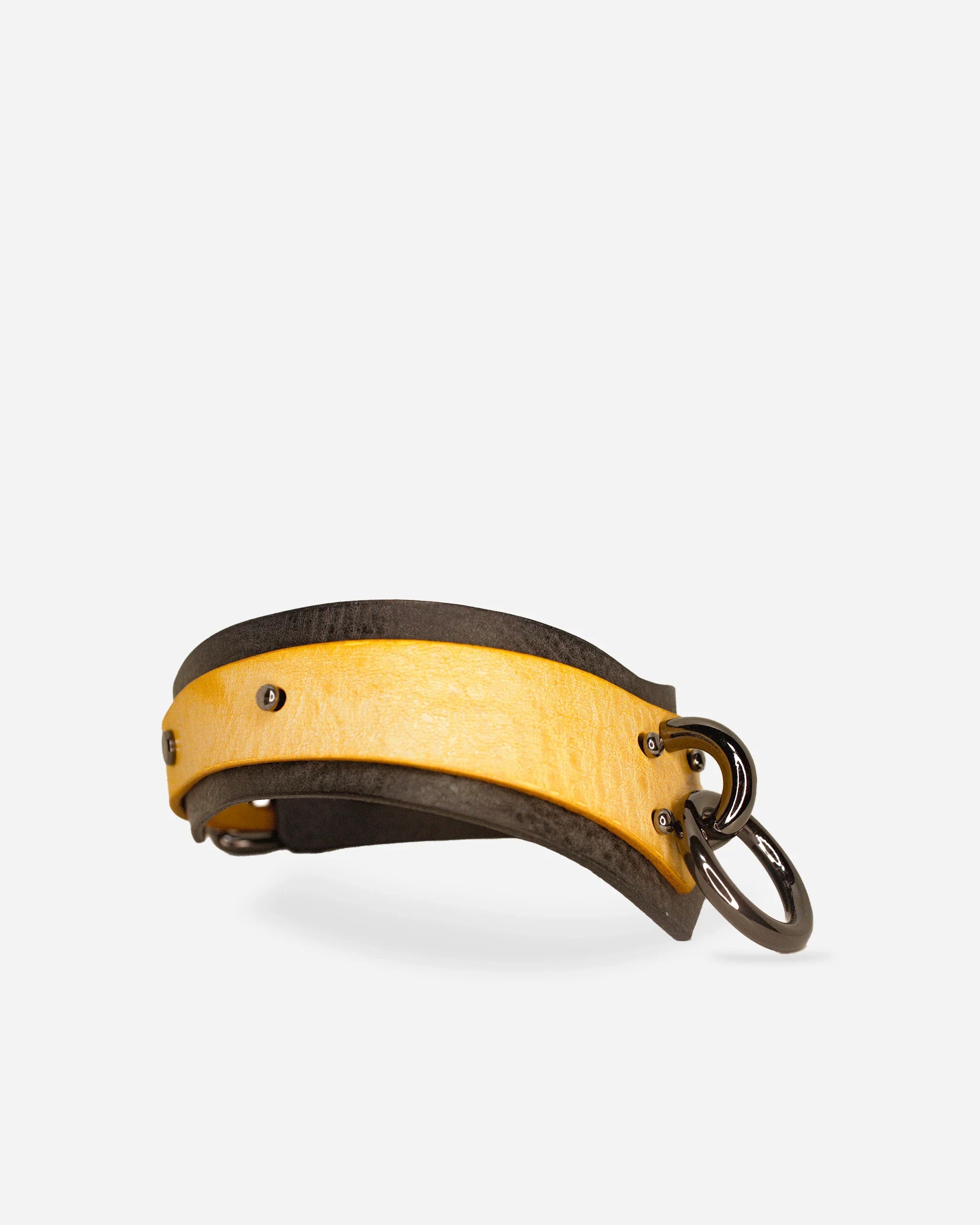 Yellow and black leather day collar with metal rings and rivets on white background