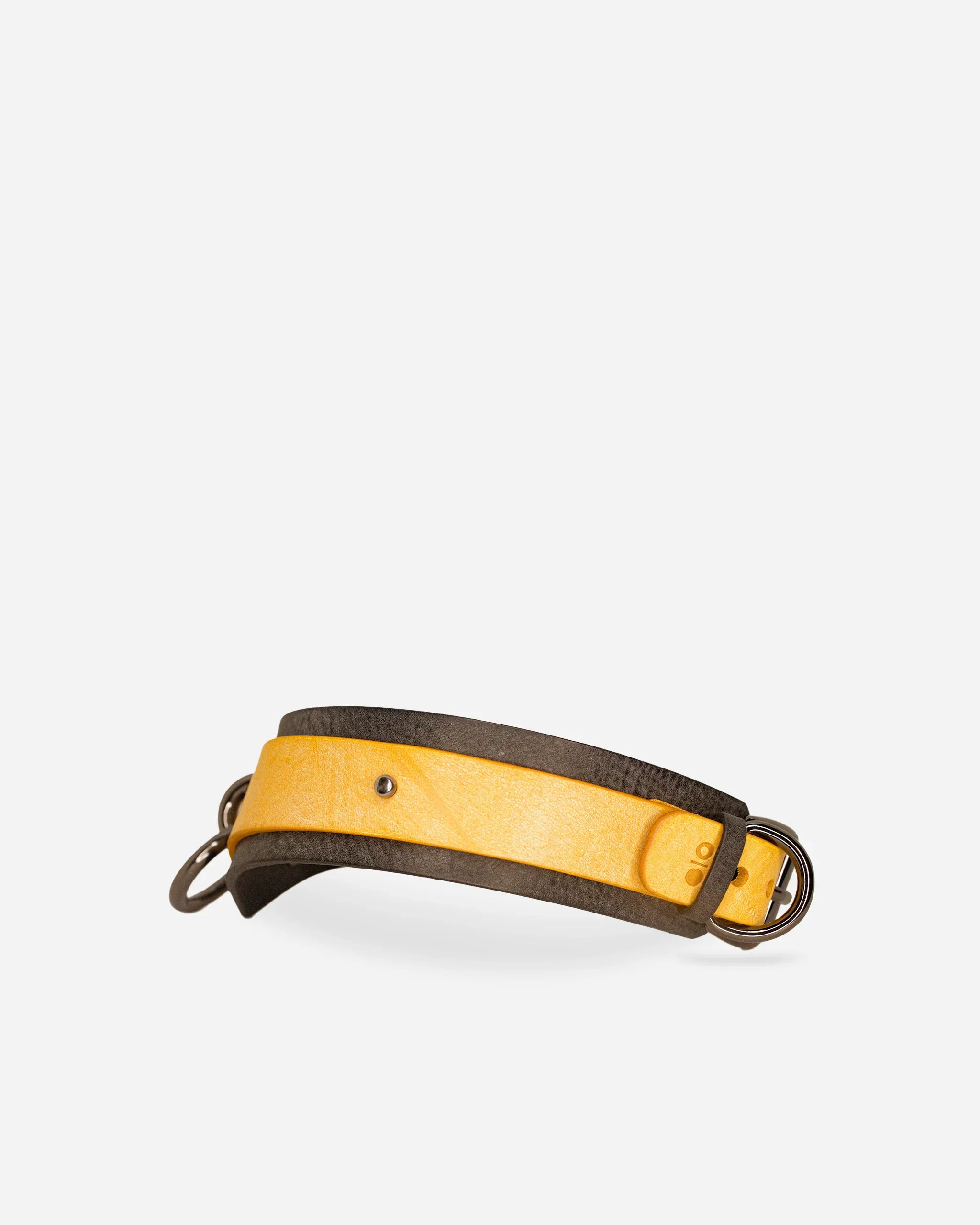 Yellow and black leather day collar with metal buckle and rings on white background, premium leather collars