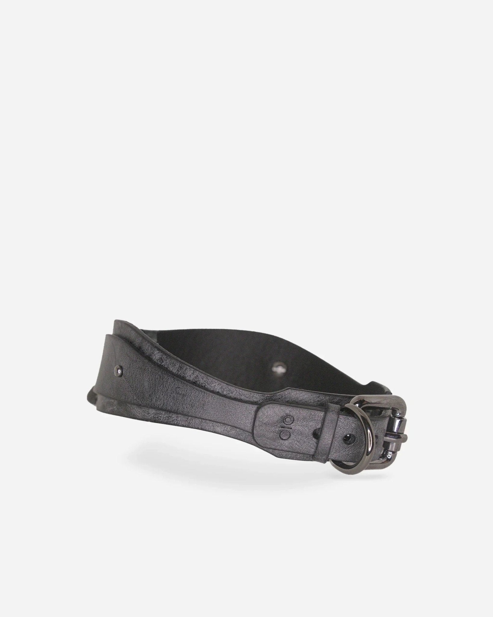 Black full-grain Italian leather day collar with metal buckle and rivets on white background