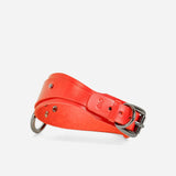 custom red collar with dark black buckles