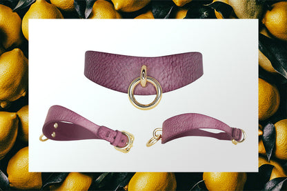 Meet Our Bestseller - The Orbit Day Collar