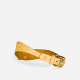 Golden hour leather day collar with silver buckle and stitched details on white background