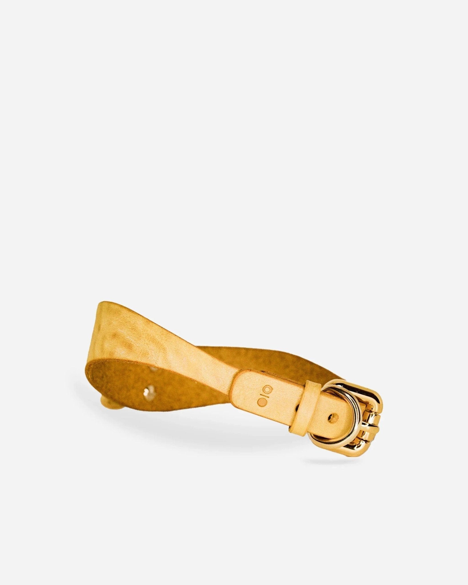 Golden hour leather day collar with silver buckle and stitched details on white background